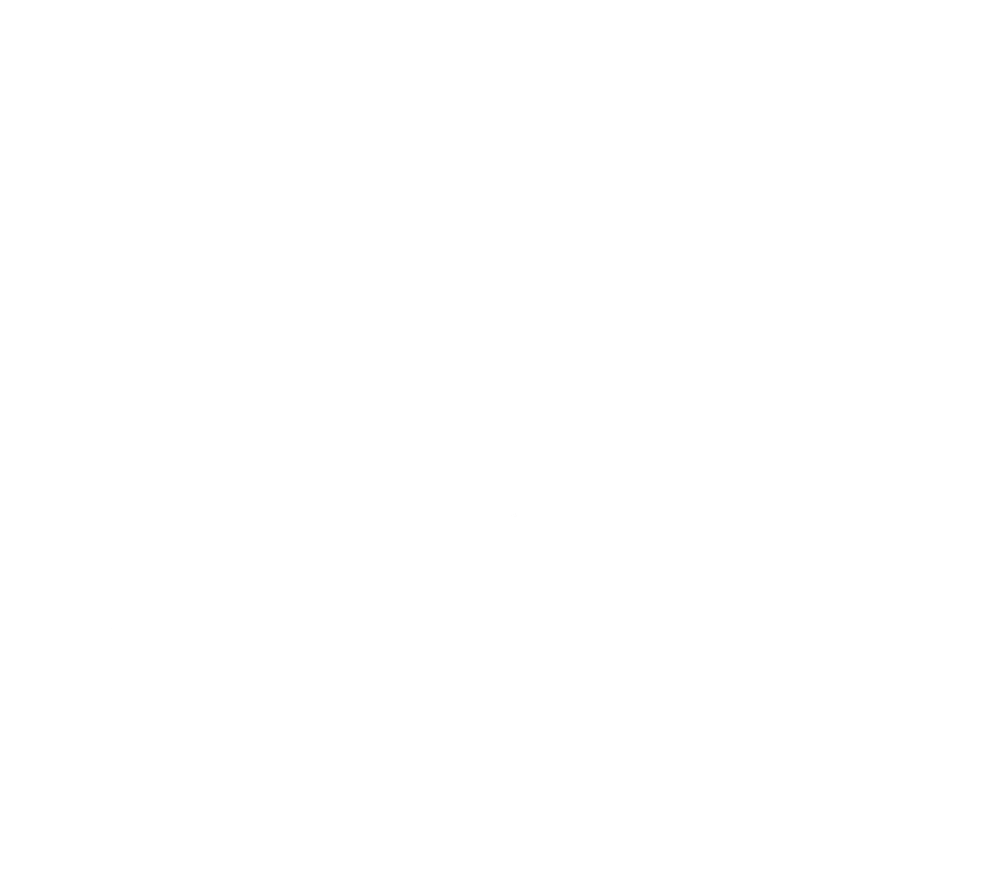 LiliBear® logo: mother bear and cub silhouette above the LiliBear® wordmark